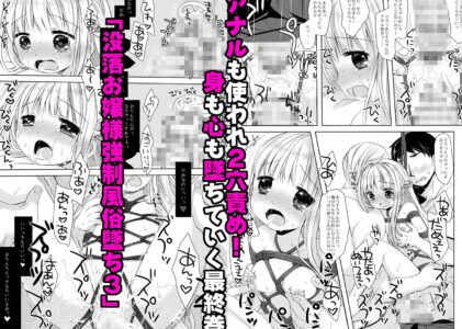 没落お嬢様＋α総集編桜沢いづみsideのレビュー/無料サンプル